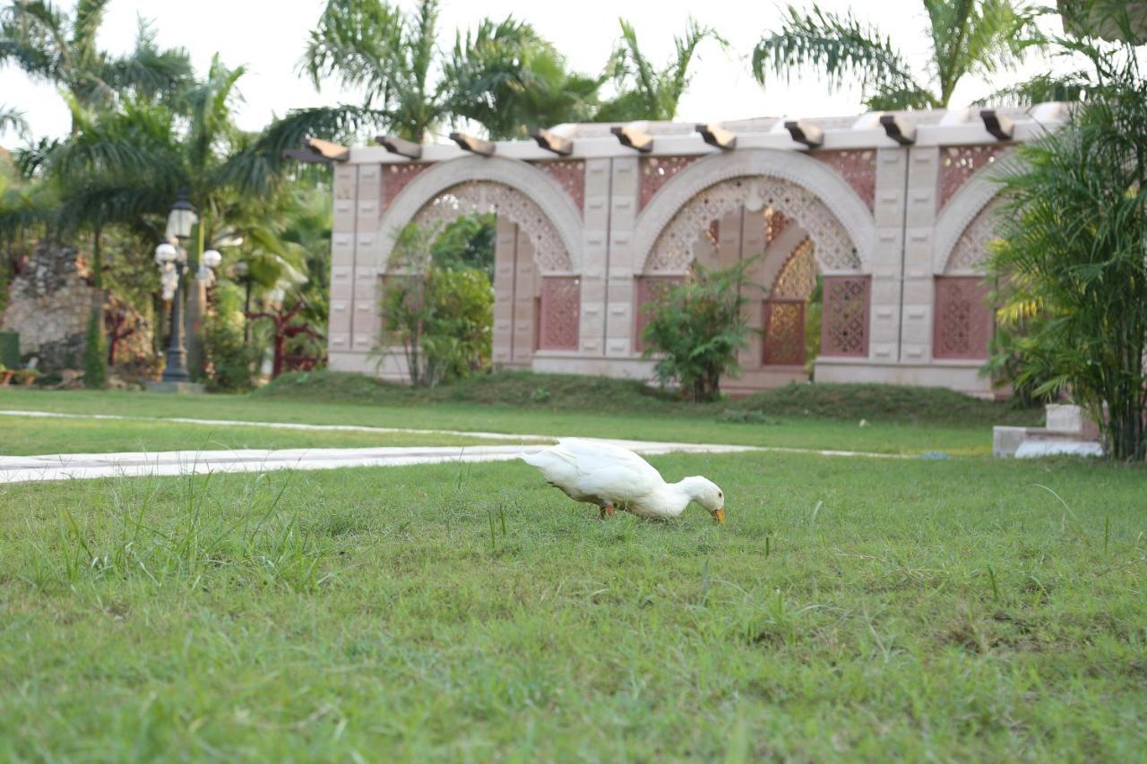 Mann The Palm Retreat Hotel Lucknow Buitenkant foto