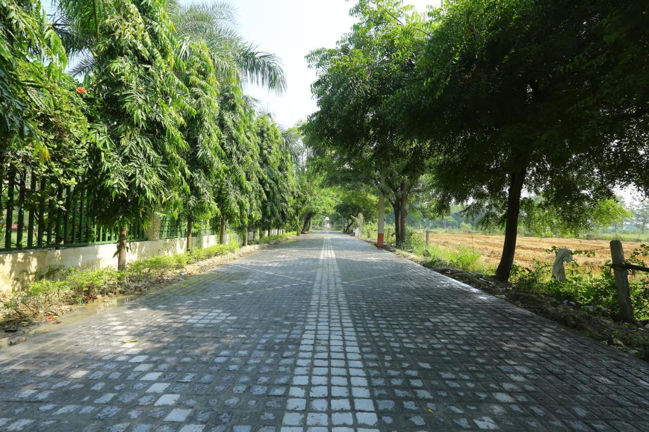 Mann The Palm Retreat Hotel Lucknow Buitenkant foto